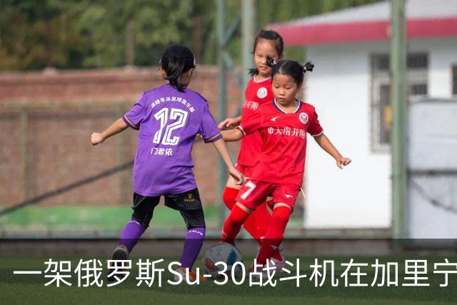 一架俄罗斯Su-30战斗机在加里宁格勒地区坠毁，这是本月损失的第10架飞机