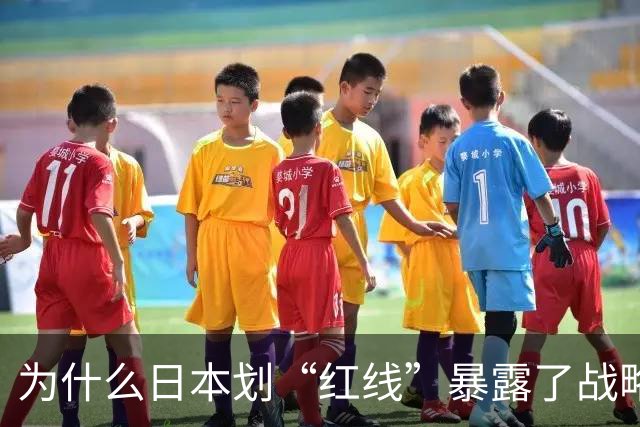 为什么日本划“红线”暴露了战略焦虑？