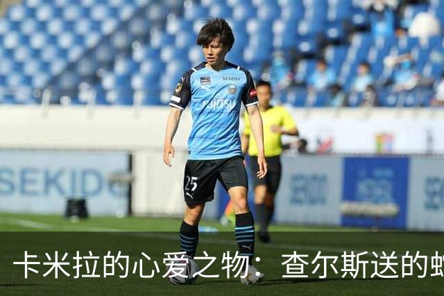 卡米拉的心爱之物：查尔斯送的蛇形项链，戴了20多年和她绝配