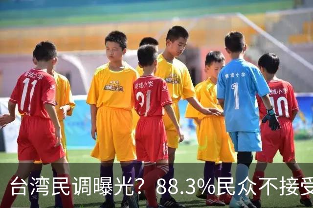台湾民调曝光？88.3%民众不接受“一国两制”？赖清德心思藏不住