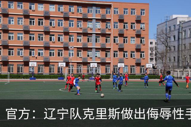 官方：辽宁队克里斯做出侮辱性手势罚款5万元；乌戈罚款1万元