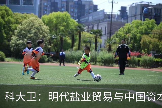 科大卫：明代盐业贸易与中国资本主义萌芽