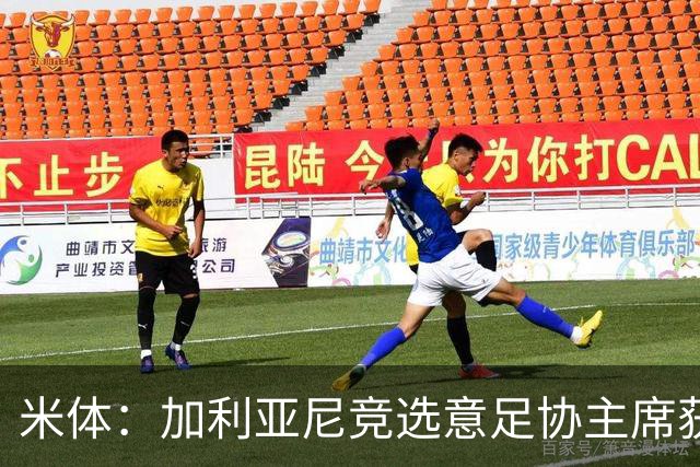 米体：加利亚尼竞选意足协主席获两大协会力挺