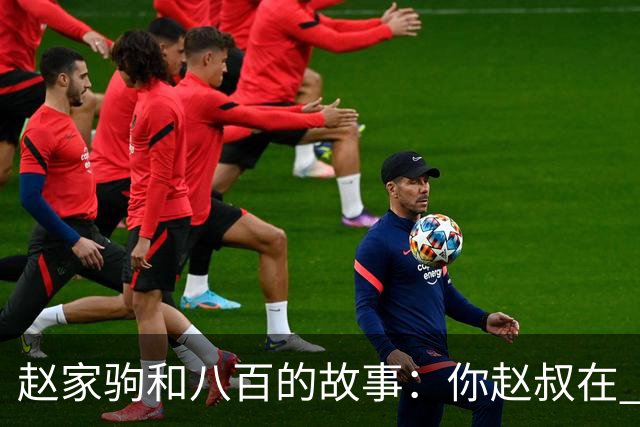赵家驹和八百的故事：你赵叔在 你爸也在