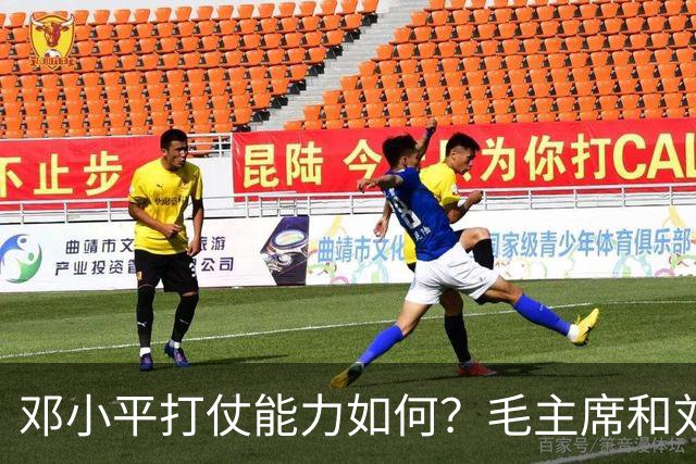 邓小平打仗能力如何？毛主席和刘伯承分别怎么评价他的表现？