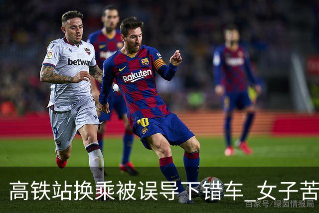 高铁站换乘被误导下错车 女子苦等3小时！12306：可免费送到目的站